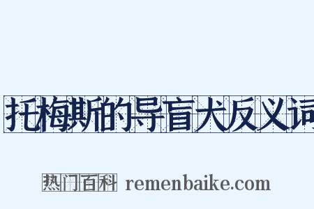托梅斯的导盲犬反义词是什么意思的图片